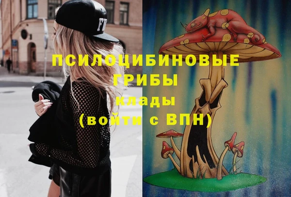 альфа пвп Медногорск