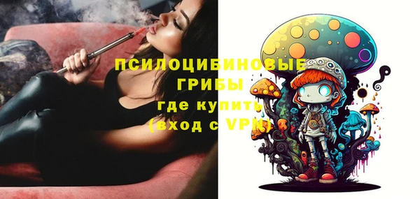 дмт Мегион