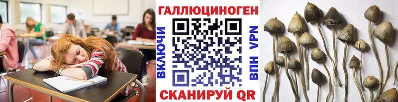 Псилоцибиновые грибы мицелий  даркнет сайт  Фрязино 